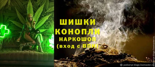 дмт Арсеньев